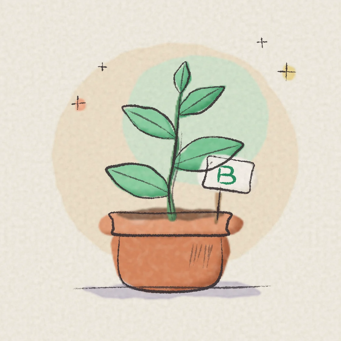 A pencil and watercolour drawing of a young green plant growing in a terracotta pot, with a small tag marked with a green B.